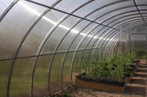 zahradní skleník 4x10 m